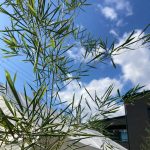 地鎮祭-工事が始まる前の祭り-